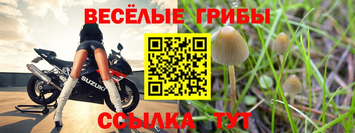 Галлюциногенные грибы Psilocybe  Псилоцибиновые грибы Cubensis  Карпинск  Вход с VPN 